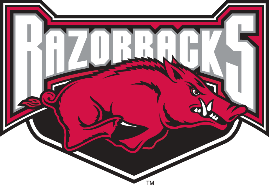 Arkansas Razorbacks 2001-2008 Alternate Logo v2 iron on transfers for fabric